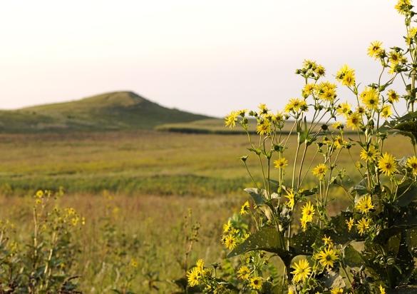 Spirit Mound, near Vermillion