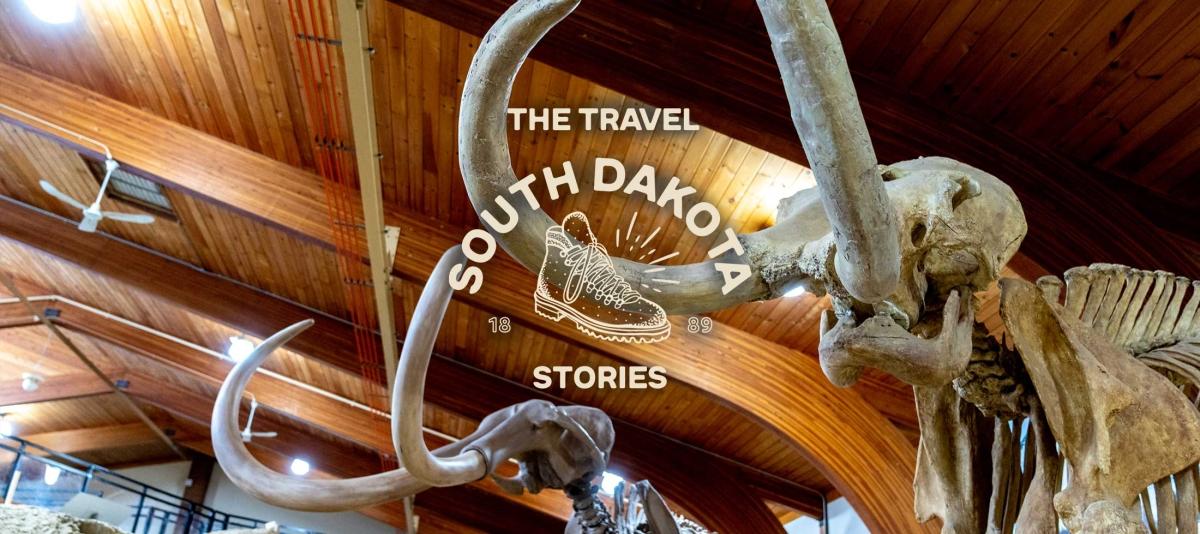 Two mammoth skeletons with long, curving tusks are displayed at The Mammoth Site in Hot Springs, South Dakota.